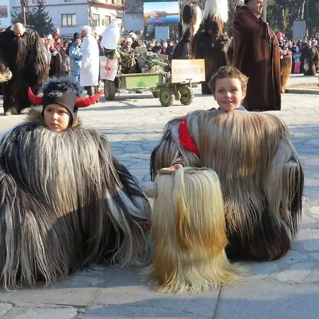 Πανσιόν Mamin Kolio 2*