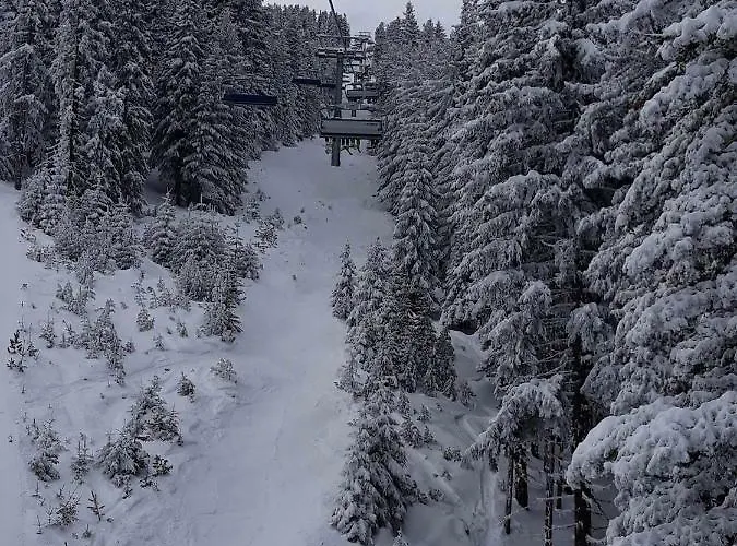 Mamin Kolio Guest house 2*