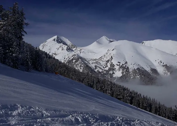 Guest house Mamin Kolio